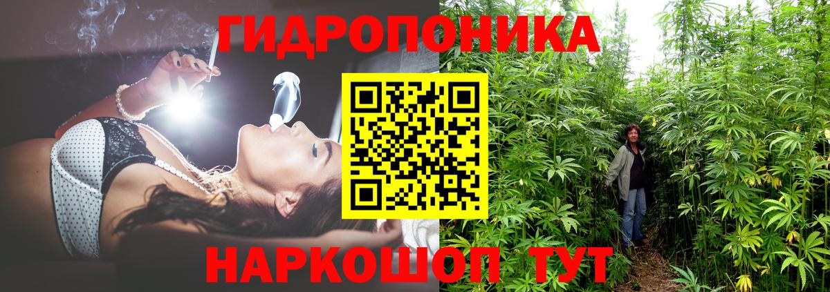 Бошки марихуана SATIVA & INDICA  Вход с VPN  Марихуана конопля  Марихуана индика  Верхняя Пышма 